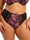 Миниатюра Трусы классические ELOMI MORGAN 4118, Черный с розами
